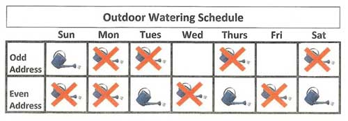 Watering Schedule